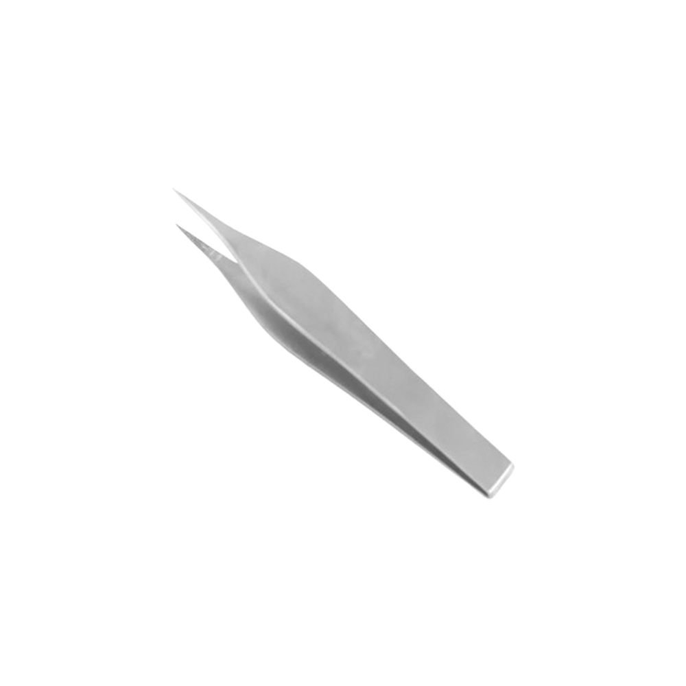 Text