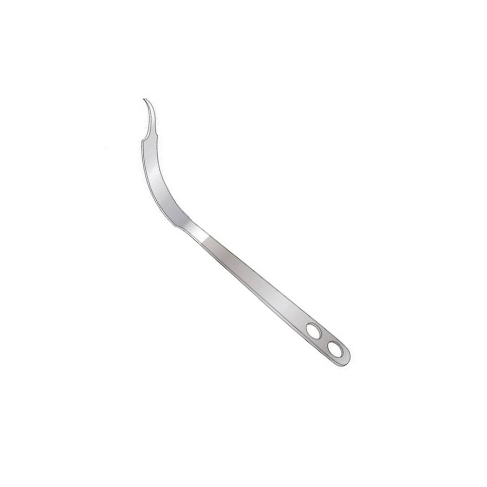 Text
